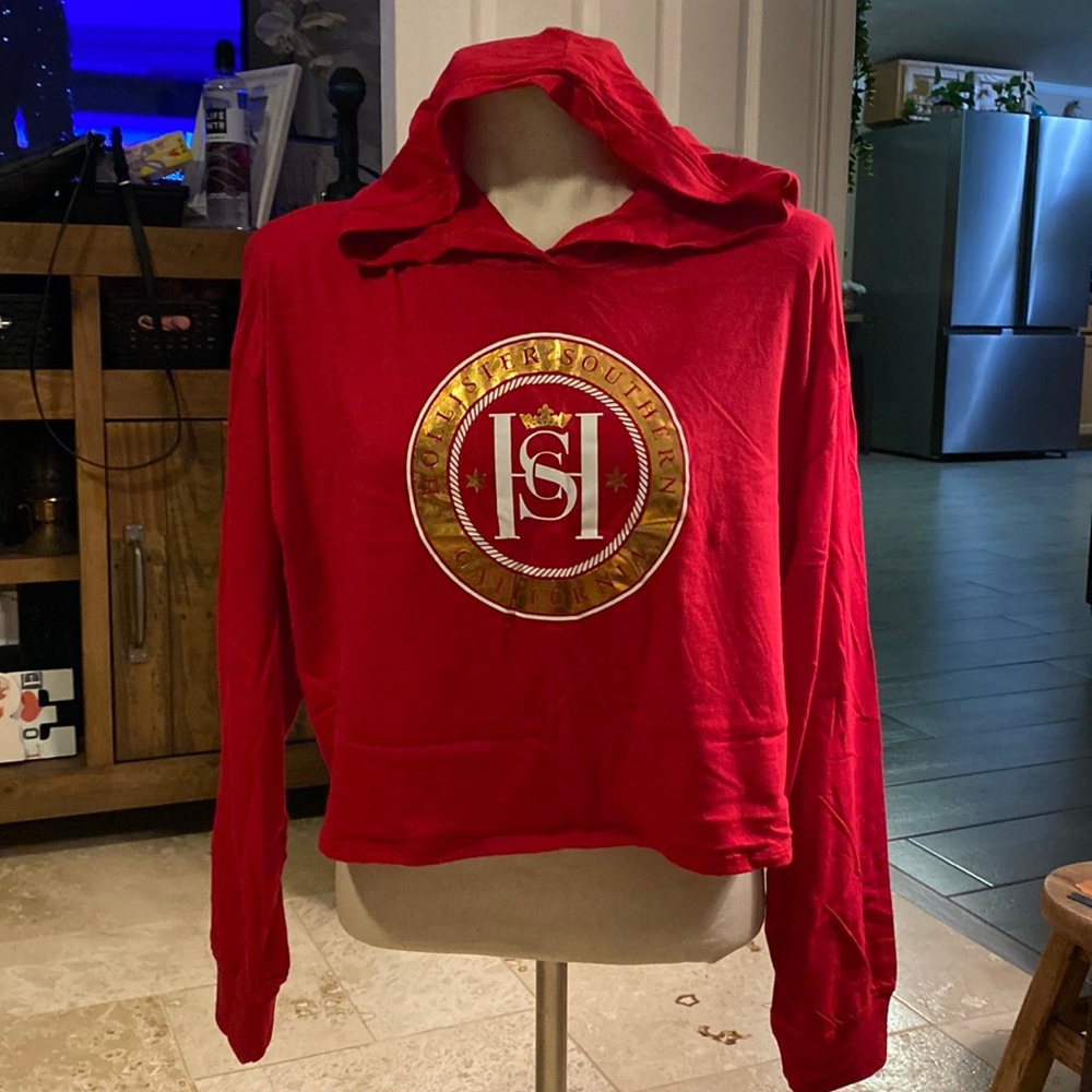 Hollister California cropped hoodie